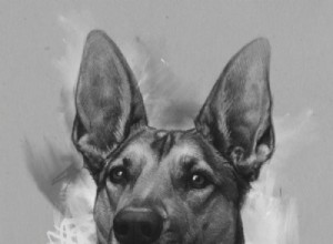 このカスタム犬の肖像画は私にすべての感触を与えました 