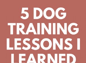 私が苦労して学んだ5つの犬の訓練レッスン 