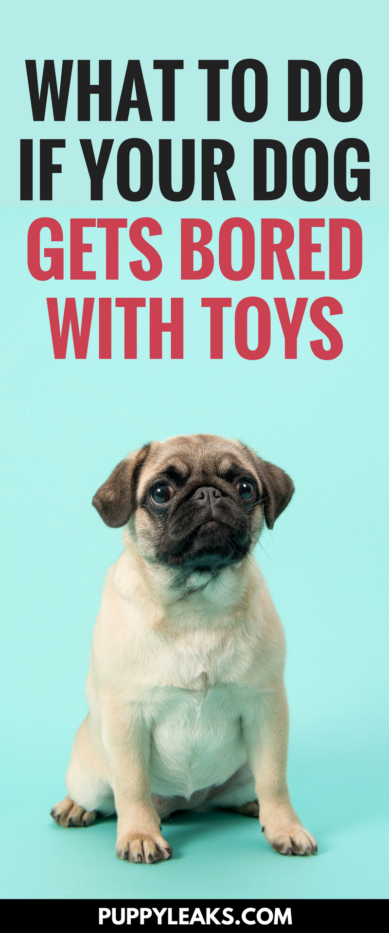 O que fazer se seu cachorro está entediado com seus brinquedos