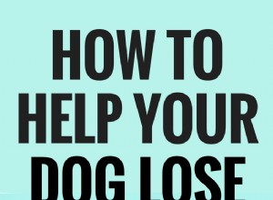 あなたの犬が体重を減らすのを助けるための5つのヒント 
