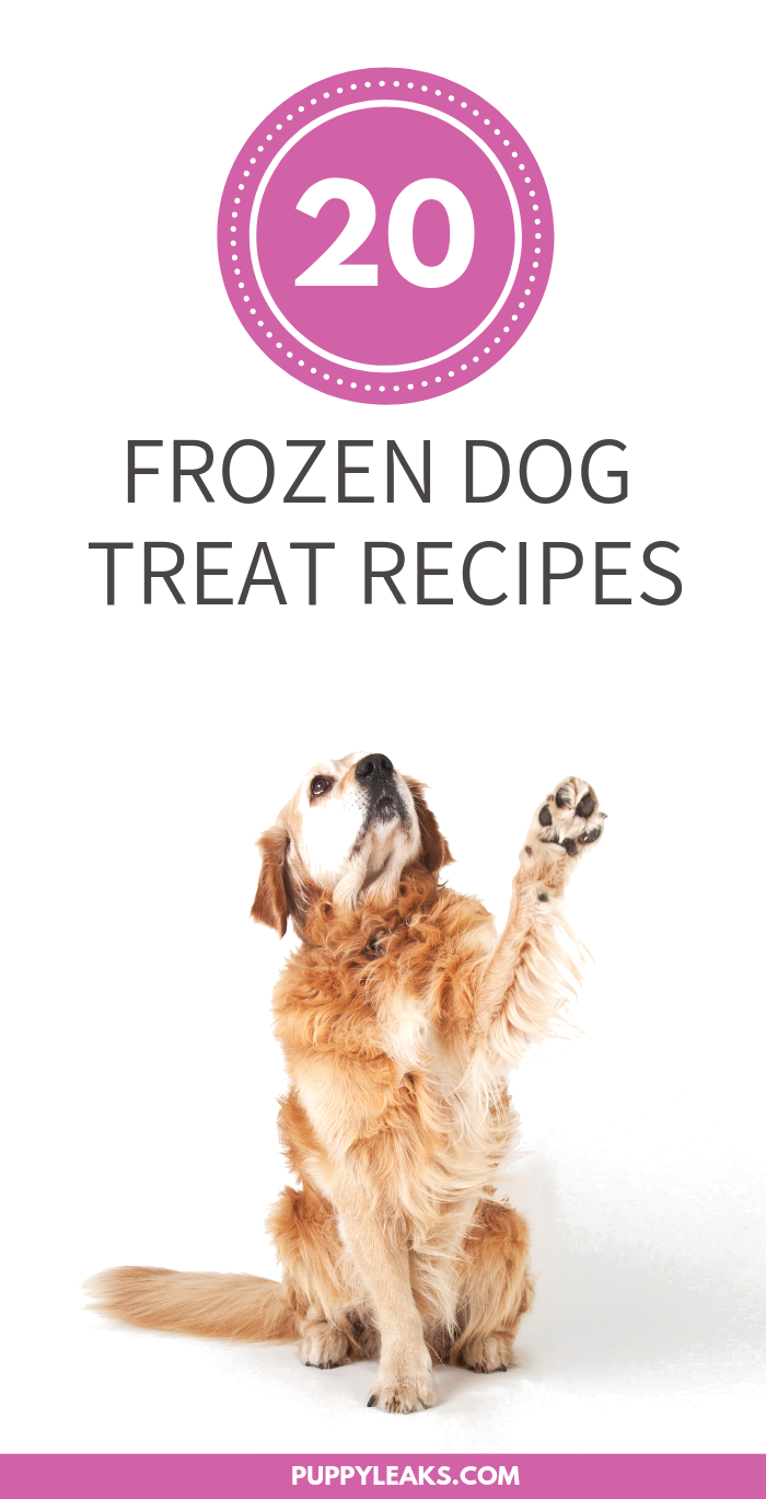 20 receitas de petiscos congelados para cães