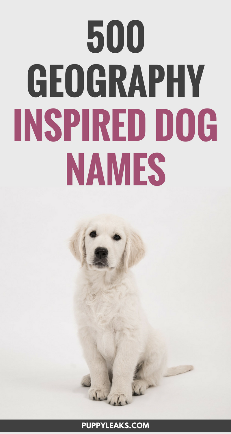 500 noms de chiens inspirés par la géographie