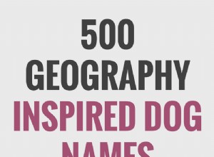 지리학에서 영감을 받은 개 이름 500개