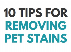 10 tipů na čištění skvrn od domácích mazlíčků