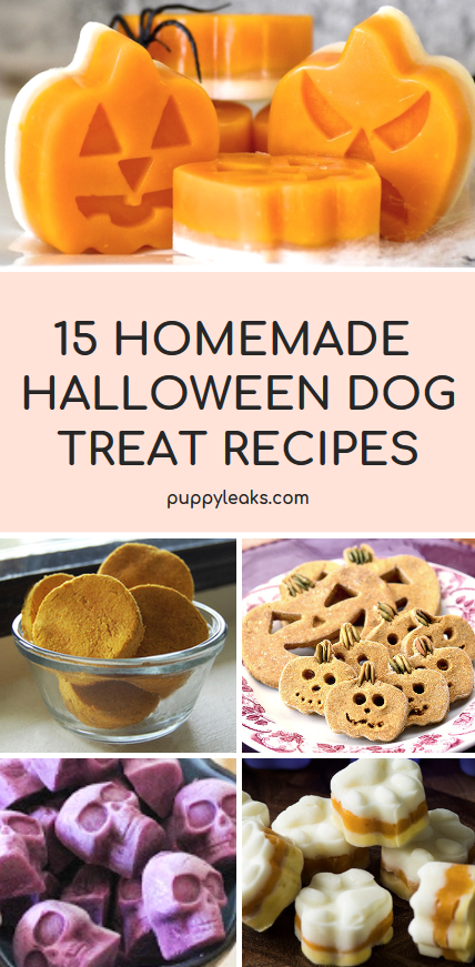 15 halloweenských receptů na pamlsky pro psy