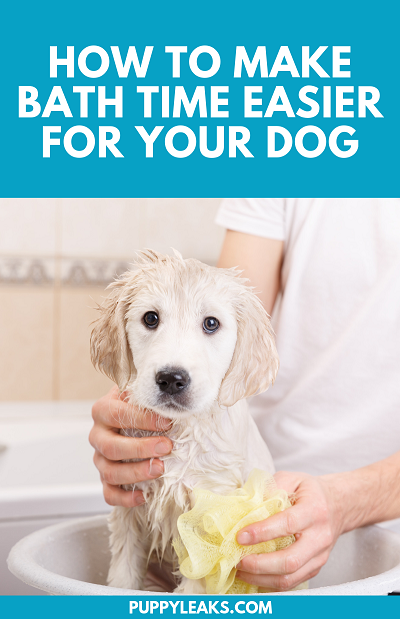 Hur du gör badtiden enklare för din hund