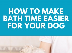 あなたの犬のためにバスタイムをより簡単にする方法 