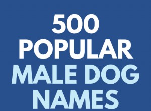 500 nomes populares de cães machos