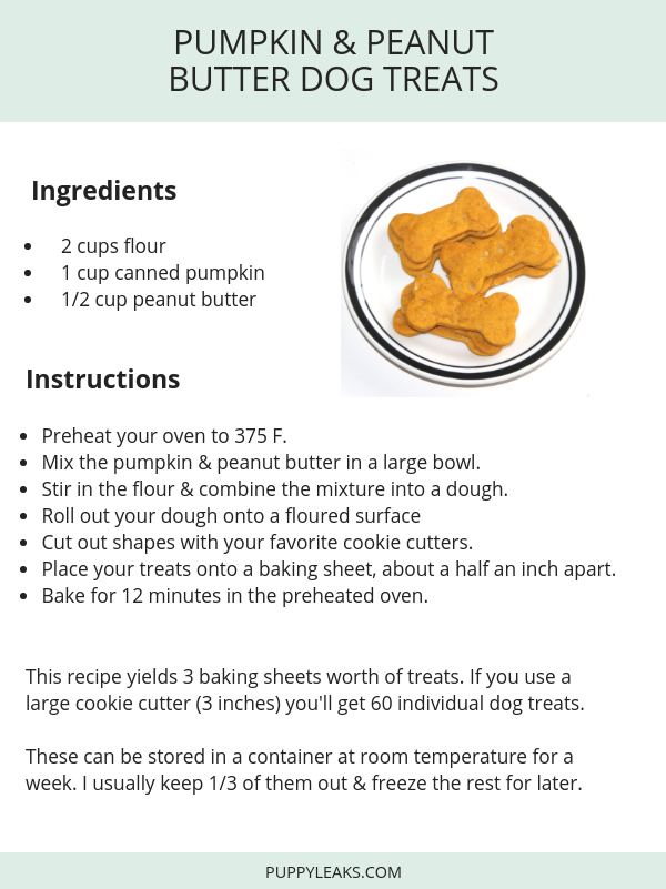Guloseimas para cachorro com manteiga de amendoim e abóbora