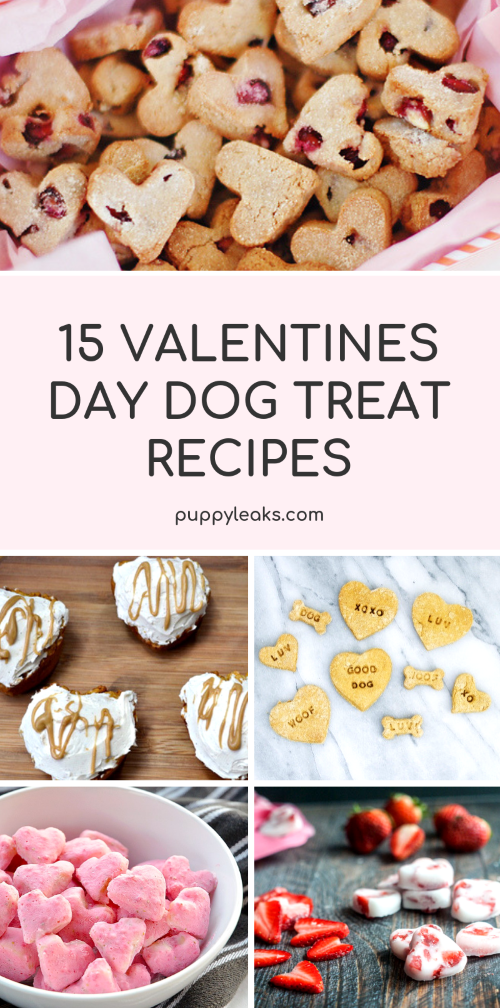 15 recept på alla hjärtans dag för hundgodis