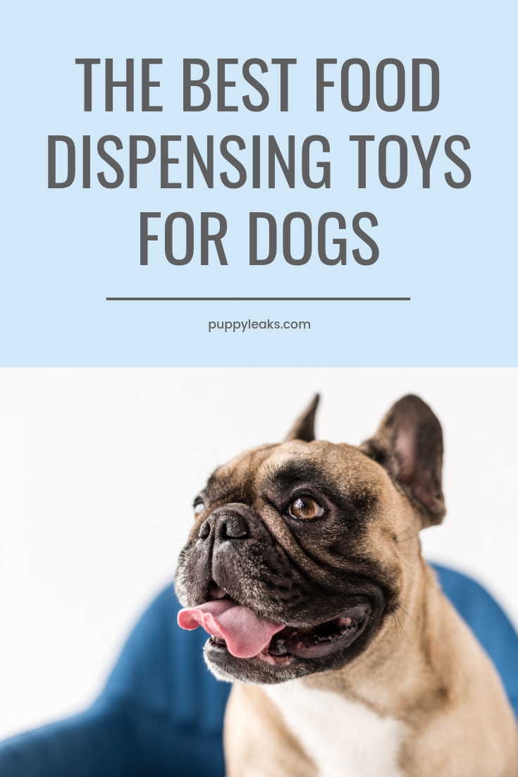 Лучшие игрушки-дозаторы для собак