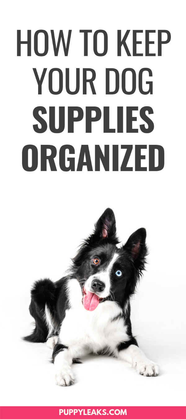 Dicas para organizar seus suprimentos para cães