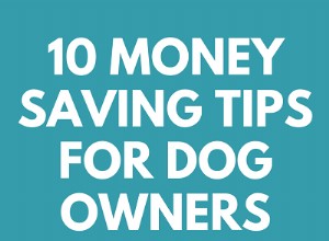 강아지 소유자를 위한 10가지 비용 절감 팁