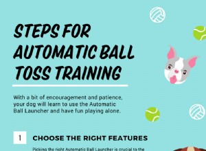 Руководство по учебному курсу по автоматическому метанию мячей