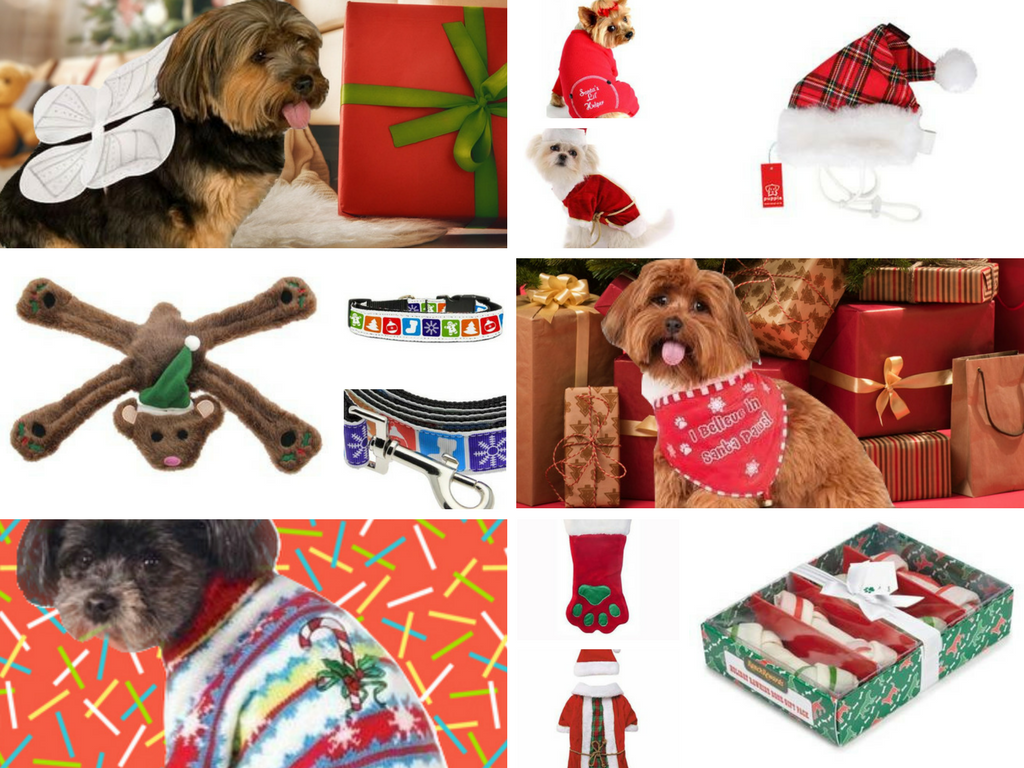 10 лучших праздничных подарков для собак.