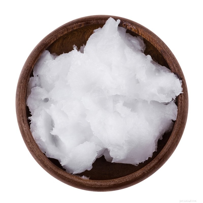 6 dicas para tratar a pele seca do seu cão neste inverno 