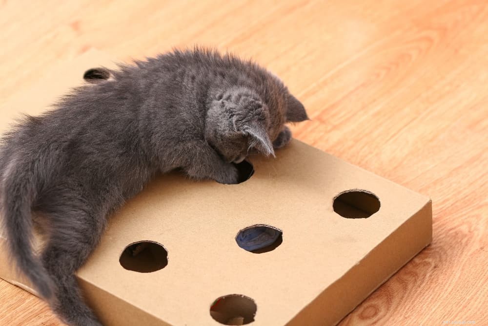 Os melhores brinquedos de quebra-cabeça para gatos para envolver e estimular seu gato