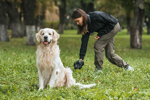 Rå hundmat för nybörjare:Hur mycket råfoder ska jag mata min hund?