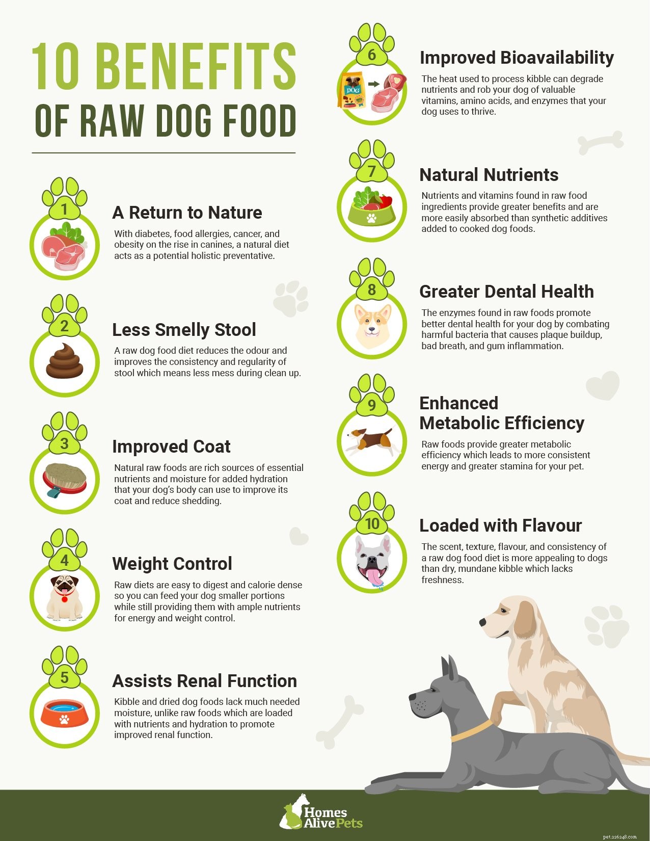 Syrové krmivo pro psy pro začátečníky:Kolik syrového jídla bych měl krmit svého psa?