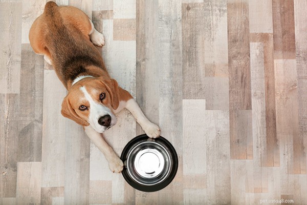 Nourriture crue pour chien pour débutant :quelle quantité de nourriture crue dois-je donner à mon chien ?