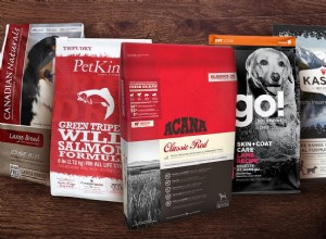 Bästa hundfoder Kanada:25 främsta kanadensiska hundfodermärken 2022