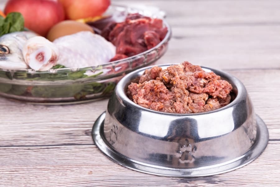 Nourriture pour chien riche en protéines pour aider votre chien à perdre du poids