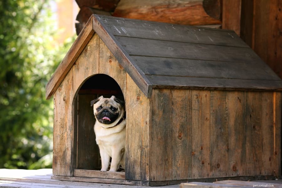 8 idéias de casinhas de cachorro caseiras para pais de cães espertos