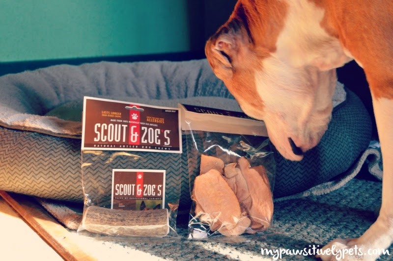 Gâteries sans allergènes pour chiens de Scout &Zoes