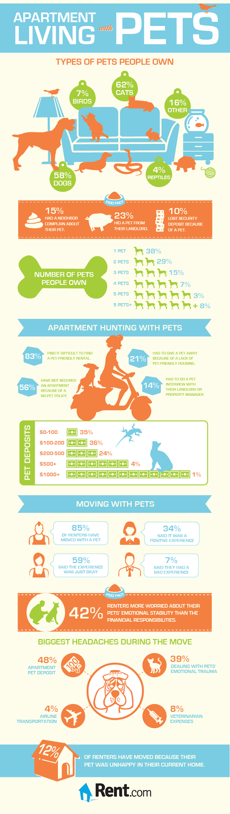 Apartamento com animais de estimação | Dicas para ajudar a reduzir o estresse durante uma mudança