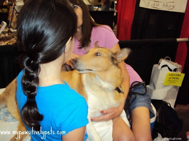 The Austin Pet Expo Experience