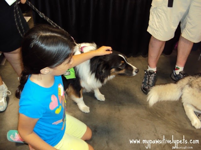 The Austin Pet Expo Experience