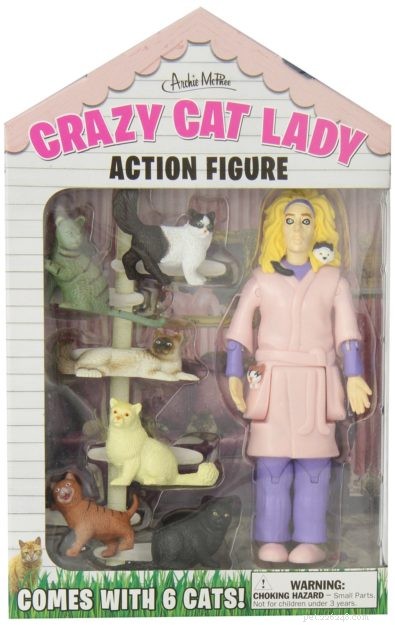 Waarom ik een hekel heb aan de uitdrukking  Crazy Cat Lady 