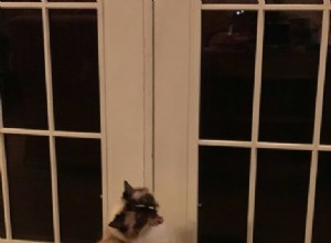 고양이는 왜 닫힌 문을 싫어합니까? 🚪