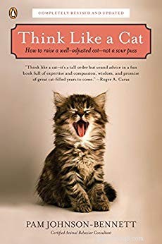 Лучшие книги для понимания поведения кошек