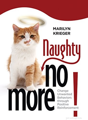 Bästa böcker för att förstå kattens beteende