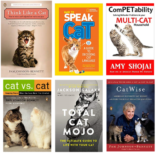 猫の行動を理解するための最高の本 