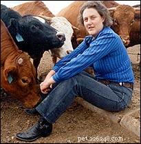 Intervista con il dottor Temple Grandin