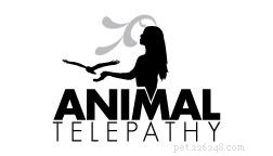 Interview met dierencommunicator Debbie McGillivray