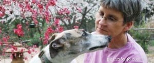 애완동물 이야기꾼 Jann Howell과의 인터뷰