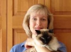 Интервью с говорящей о домашних животных Кейт Солисти