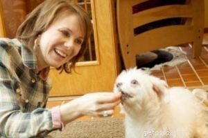 Intervju med Pet Talker Asia Voight
