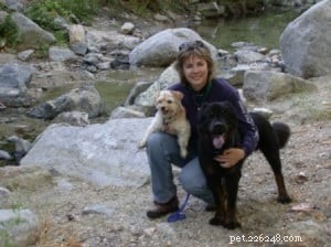 Entrevista com Dana Miller Coburn, Animal Communicator, de What Animals Tell Us