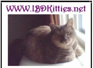 IBDKitties.net – Interview met oprichter, Lisa