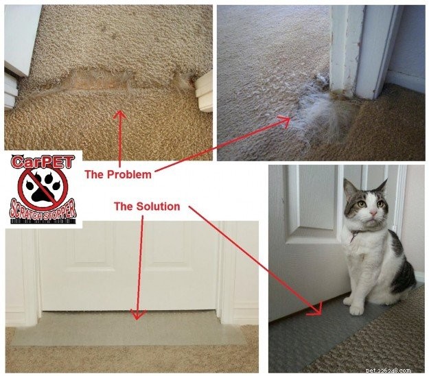 CarPET Scratch Stopper:Voorkom dat katten aan tapijt rond deuropeningen krabben