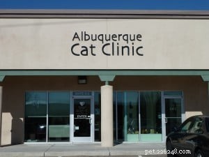 Klinika pro kočky v Albuquerque:Návštěva floppycats na klinice všech koček v Albuquerque