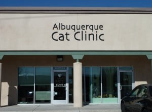 Albuquerque Cat Clinic:Floppycats Bezoek aan een All Cat Clinic in Albuquerque