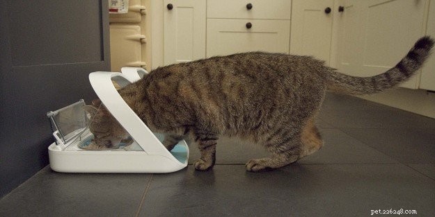 Alimentador para gatos:o alimentador para animais de estimação com microchip SureFeed da SureFlap