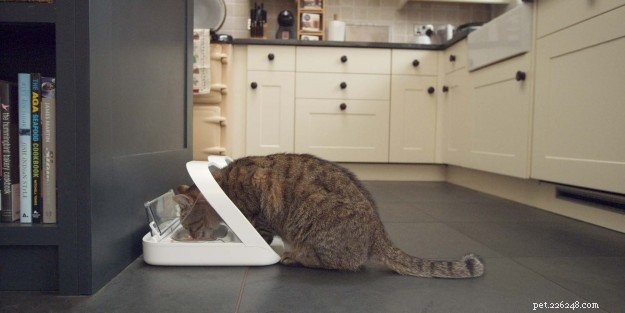 Krmítko pro kočky:krmítko pro domácí mazlíčky s mikročipem SureFeed od společnosti SureFlap