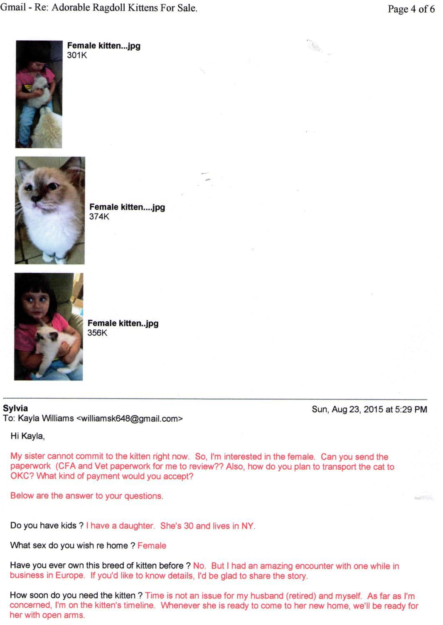 Schattige Ragdoll Kittens te koop Scam Online