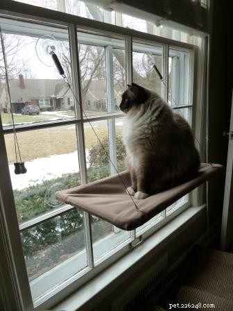 Už jste vyzkoušeli bidýlko pro kočky Sunny Seat? Houpací síť s oknem pro kočky